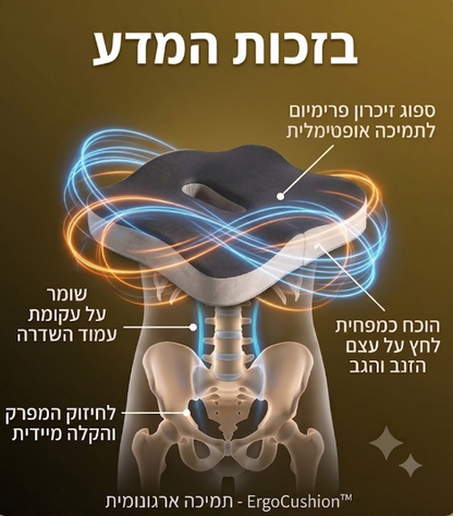 ™ErgoCushion – כרית אורתופדית להקלה מיידית על כאבי גב בישיבה ממושכת